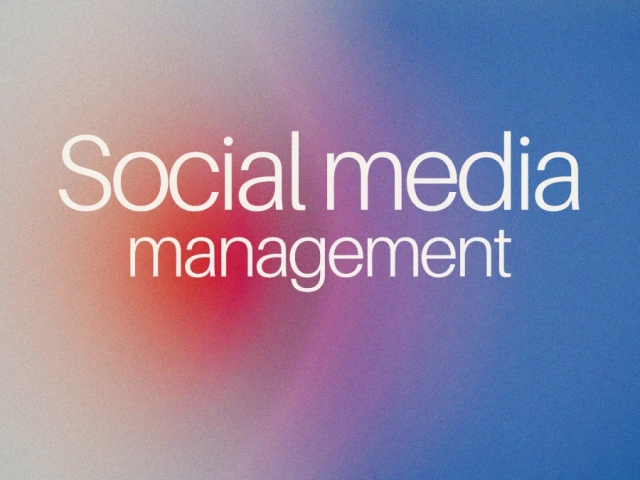 Social Media Menedzsment