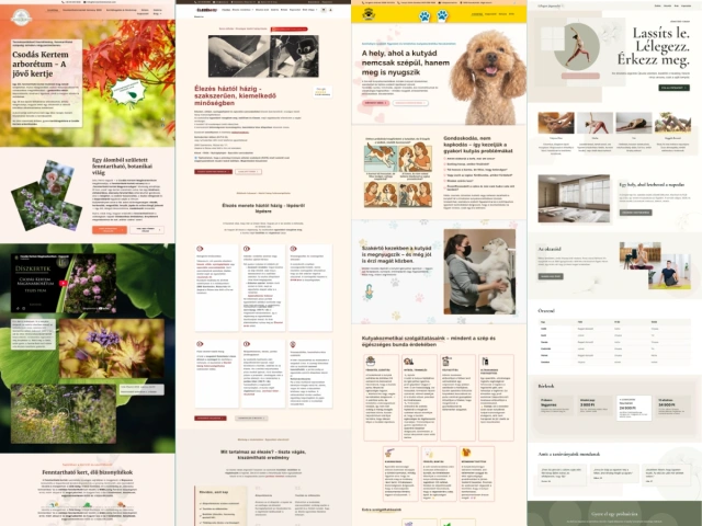 WordPress üzleti weboldal készítése