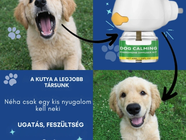 Facebook és Instagram hirdetési kreatívok készítése