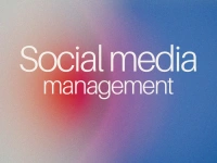 Social Media Menedzsment