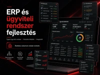 ERP és ügyviteli rendszer fejlesztés