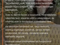 Egyedi Weboldalkészítés