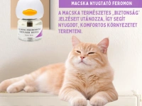 Facebook és Instagram hirdetési kreatívok készítése