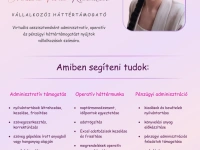 Virtuális asszisztencia, háttértámogatás