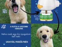 Facebook és Instagram hirdetési kreatívok készítése