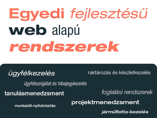 Egyedi fejlesztésű web alapú rendszerek 