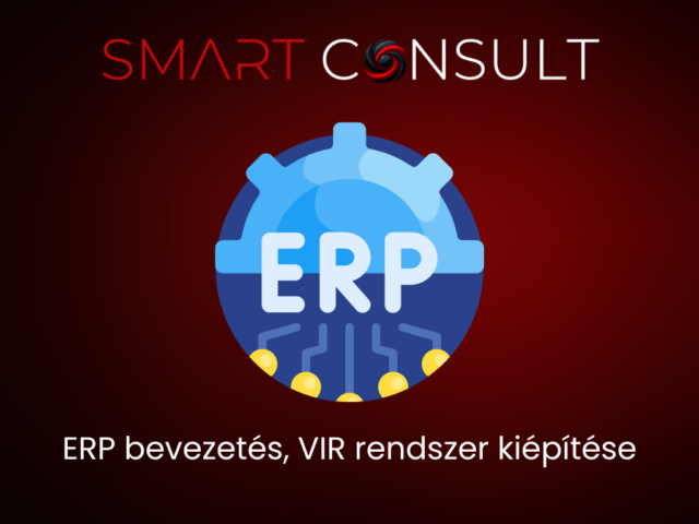 ERP rendszer bevezetés, VIR rendszer kiépítése 