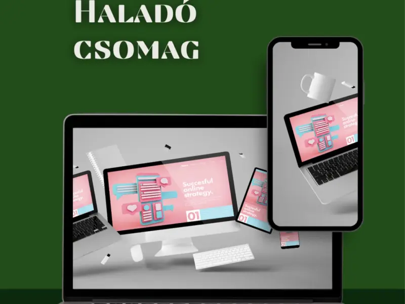 Weboldal készítés – egyedi arculatra szabva (Webnode)
