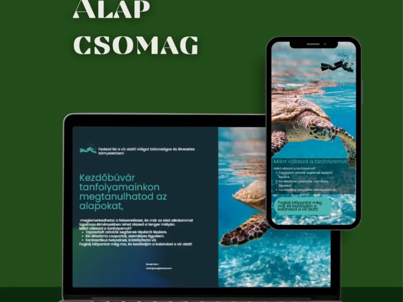 Weboldal készítés – egyedi arculatra szabva (Webnode)