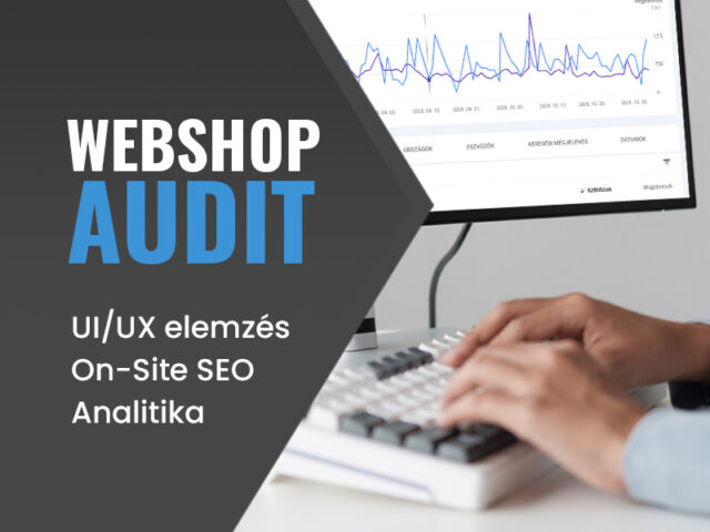 Webshop audit