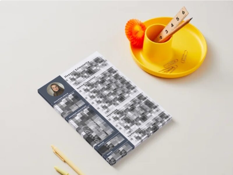 Profi önéletrajz (CV) készítés