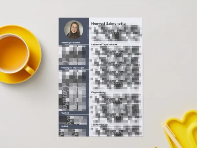 Profi önéletrajz (CV) készítés