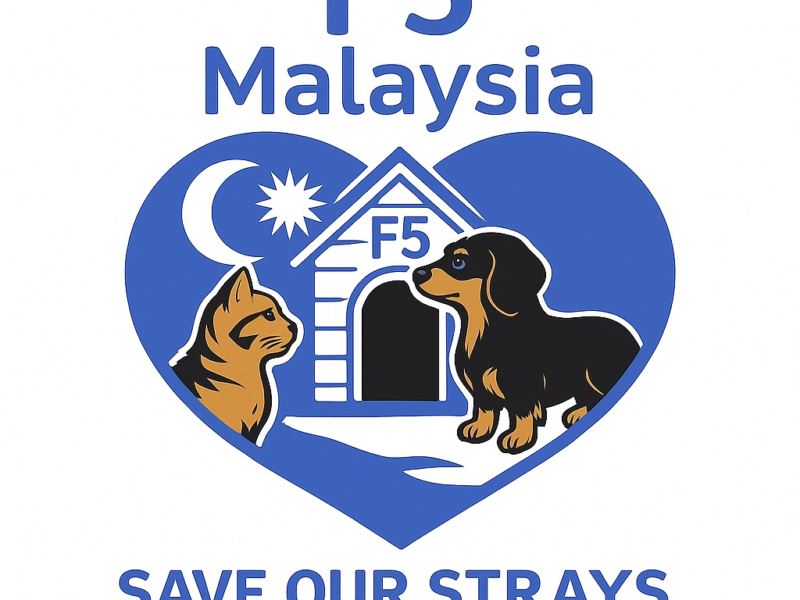 Arculattervezés, reklámanyagok