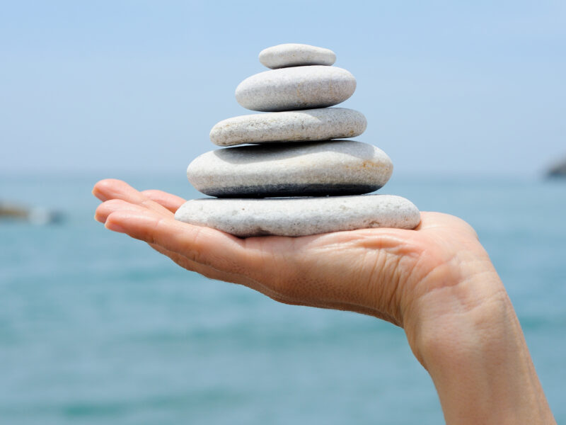 Holisztikus Életmódprogram- Prémium csomag